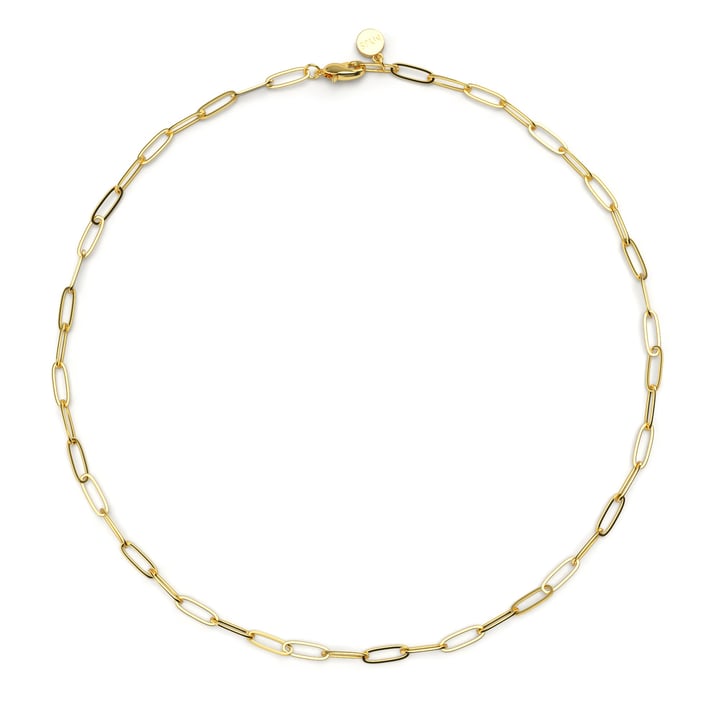 Link Carrier Necklace Gold Plated