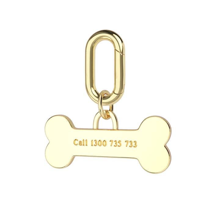 Personalised Enamel Bone Brass Pet Name Tag