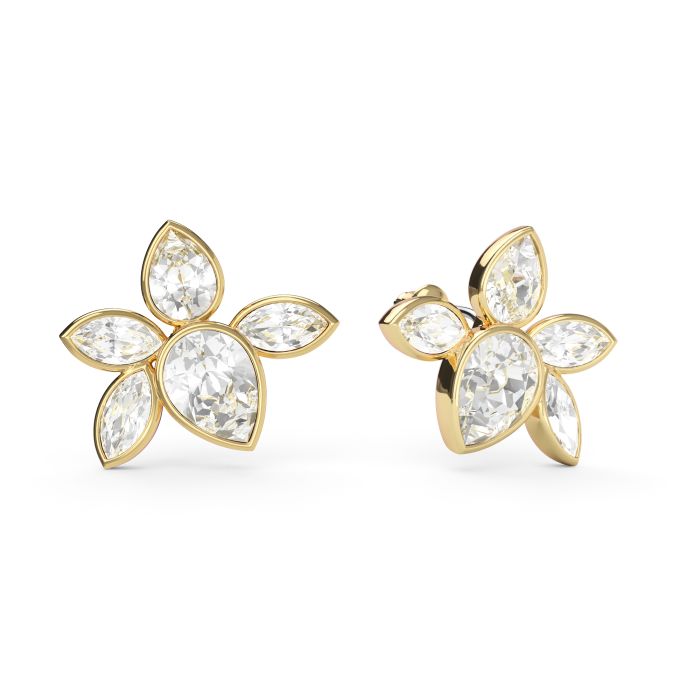 Selia Mix Statement Carrier Earrings Clear Gold Plated