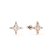 Petite Compass Star Stud Earrings Clear Crystals Rose Gold Plated