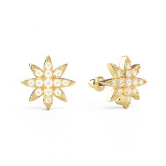 Polaris Star Mix Stud Earrings Clear Crystals Gold Plated