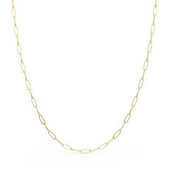 Link Carrier Necklace Gold Plated