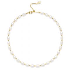 Cadence Freshwater Pearl Necklace Gold Plated