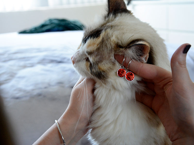 kitty-bella-earrings-myjewellerystory-blog-feature